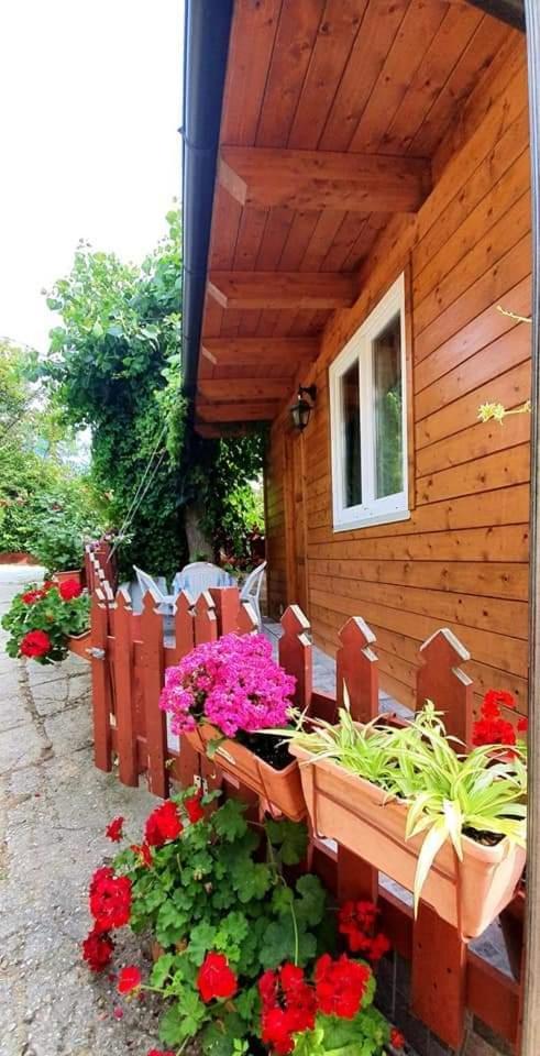 Camping Onda Azzurra Hotel Ortona Exterior photo